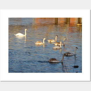 Scottish Photography Series (Vectorized) - Swanning About Posters and Art